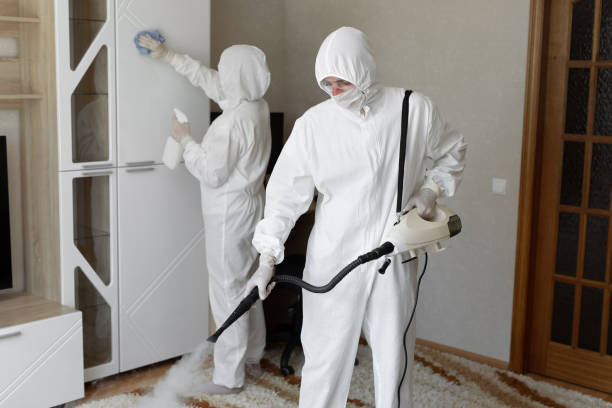 Best Commercial Mold Remediation in Carrington, ND